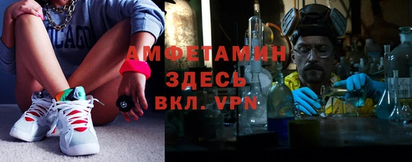 мет Алексин