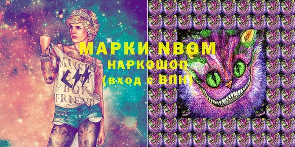 apvp Алзамай
