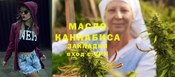 мет Алексин