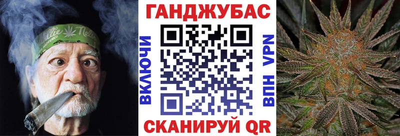 ОМГ ОМГ ТОР  Ликино-Дулёво  Каннабис сатива 